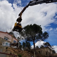 Trabajos con mini excavadoras en Lloret